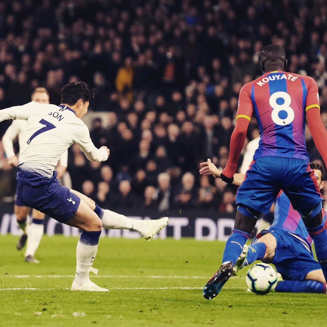 获得了无数 获得了无数